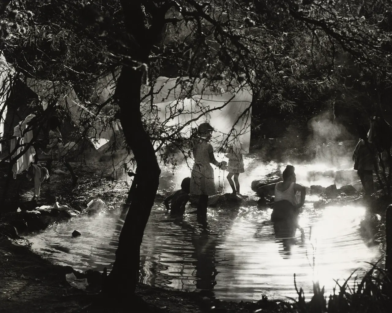 Enrique Bostelmann, Bano Matinal (Morning Bath),&nbsp;1976, part of Piel de las aguas series.&nbsp;